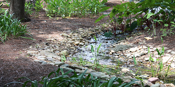 A small water feature at the park